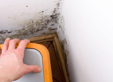 mold-toxicity-functional-medicine_orig
